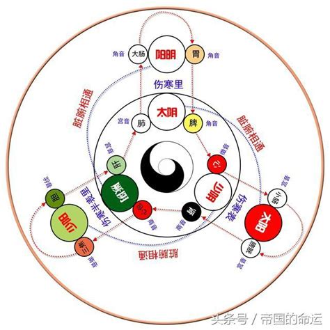 运气【運氣】|运气的解释